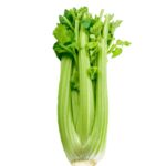 AUSTRALIA CELERY (+/- 500G)