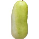 BOTTLE GOURD (LABU AIR) (+/-1KG)