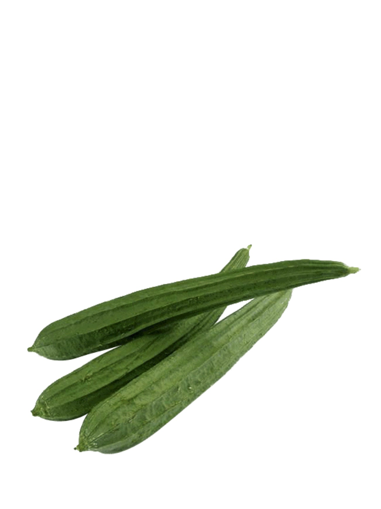 ANGLE GOURD (PETOLA) +/-300G