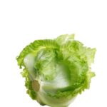 NL CAMERON ICEBERG LETTUCE PC