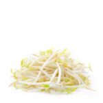 SMALL BEAN SPROUT (TAUGE) +/-450G