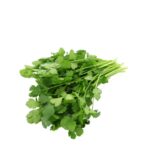 NL ENGLISH PARSLEY 50G
