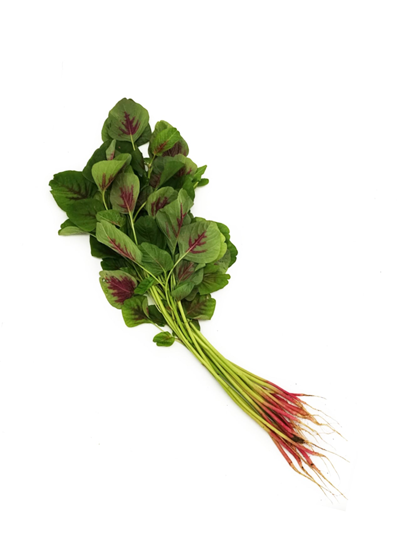 DL SPINACH RED 300G